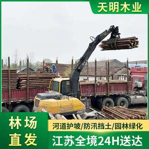 杉木原木桩户外河道驳岸实木打桩木堤坝防汛木桩落叶松圆木桩