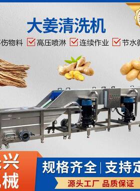 压喷淋大姜清洗机小黄姜土豆桔梗鼓泡清洗机黄精葛根生姜清洗机