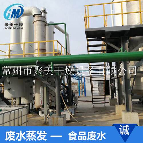 危废行业废水处理设备 肠衣蛋白双效浓缩器工业废水蒸发器设备