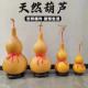 天然葫芦镇宅新特大号摆件文玩客厅装 饰挂件压腰八宝真葫芦带龙头