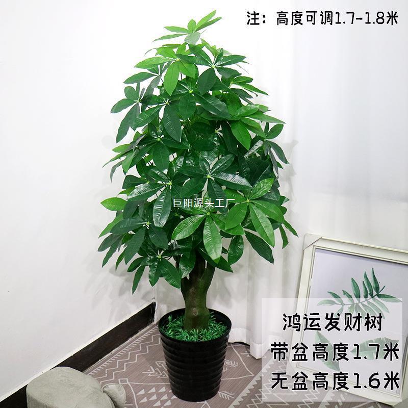绿植发财树摇THGOLLWS钱树列厅装饰绿色客植物落地绢花栽系塑料盆