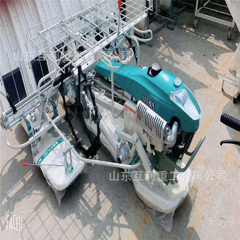 手扶式水稻秧苗种植机 小型农用水田插秧机 6行高速乘坐式插秧机
