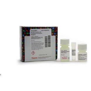 赛默飞R0611DNA凝胶上样染料(6X)丙烯酰胺凝胶