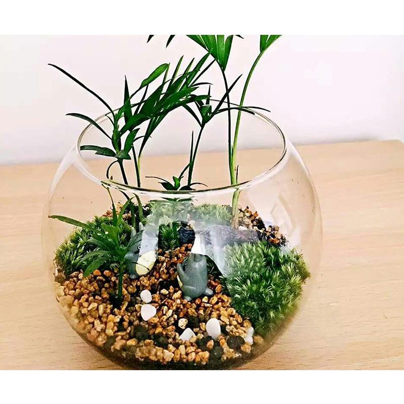 上开口造型微景观玻璃鱼缸多肉苔藓植物培花器时尚摆件水族生态瓶