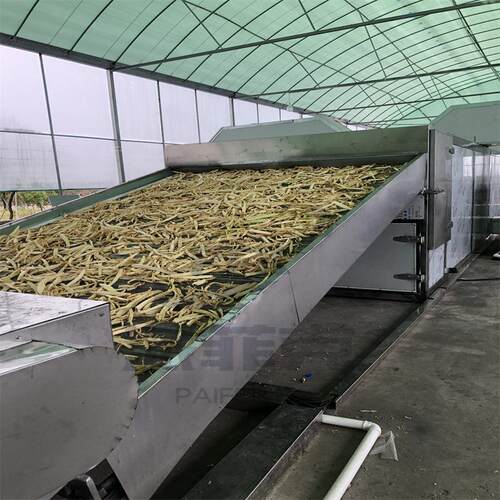 土豆片网带式烘干机 果蔬干大型烘干设备 桂皮玉竹全自动烘干设备