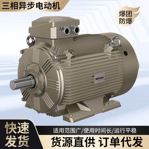 卧龙WEBP80-355系列变频调速三相异步现货速发