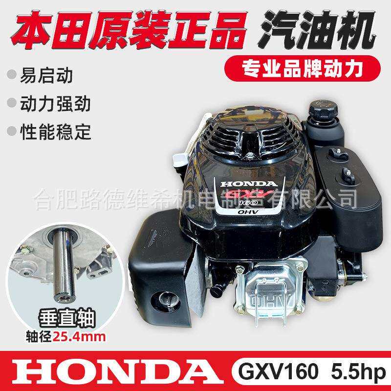 原装本田GXV160汽油发动机5.5HP马力垂直轴216草坪机头园林163cc