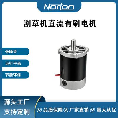 9716-450W24V永磁有刷直流电机割草机电机