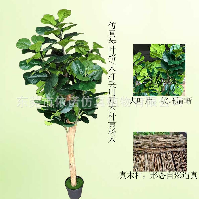 生绿植琴叶居榕实木杆新款琴仿真树室内家装饰大yn009型仿仿真叶