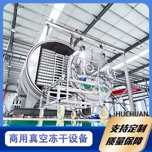 复水性强还原度高冻干设备 304配置真空冷冻干燥机 商用冻干机器