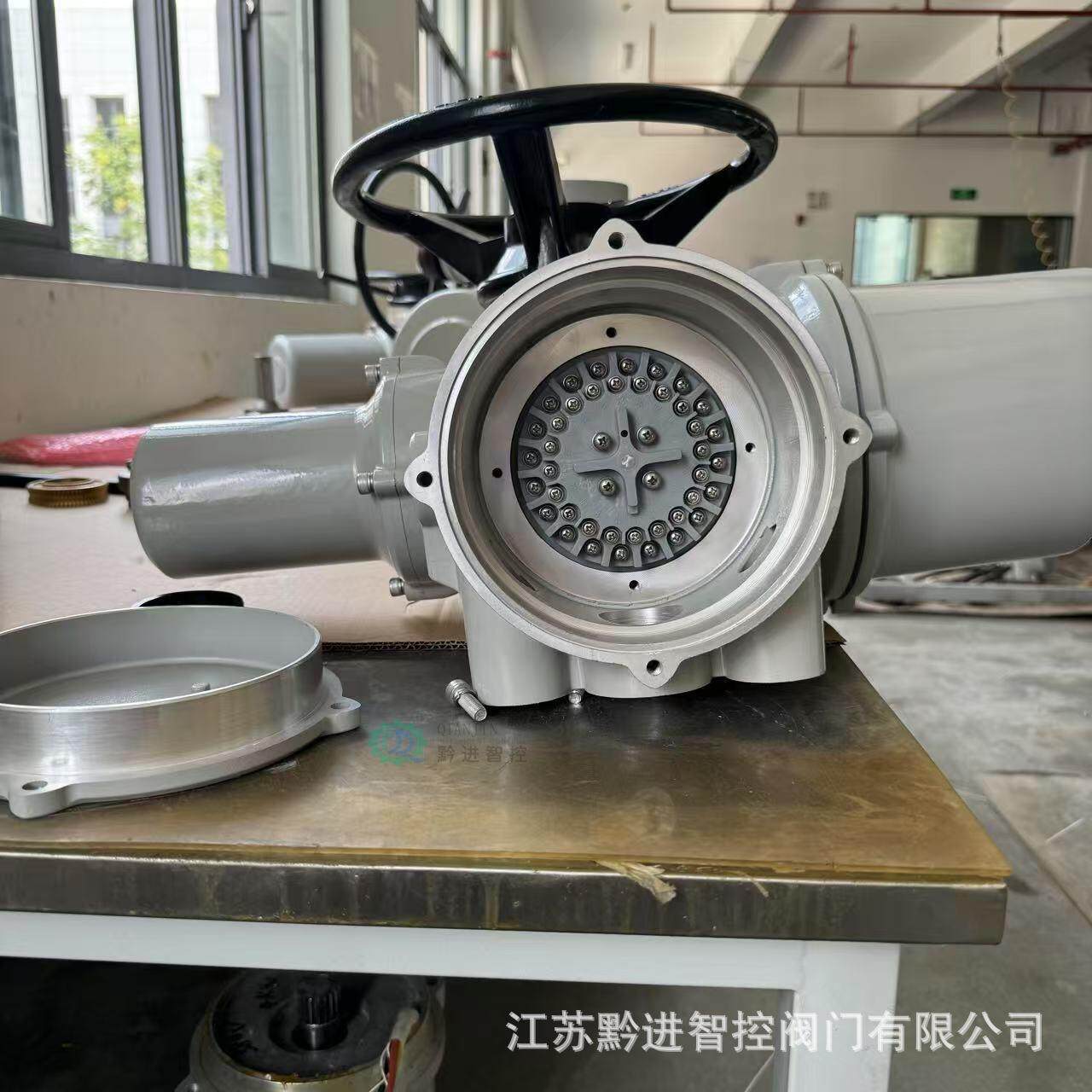 DZW90-24葵花端子智能开关防爆型电动执行器ZB90液晶显示防水IP68