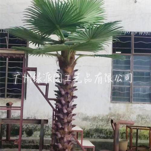 仿真棕榈树 酒店装饰棕榈树发财树 商场大厅摆放假植物人造棕榈树
