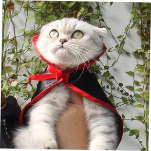 Halloween Costumes Shawl Parrot Warm Pet Cape Dog Cat Small