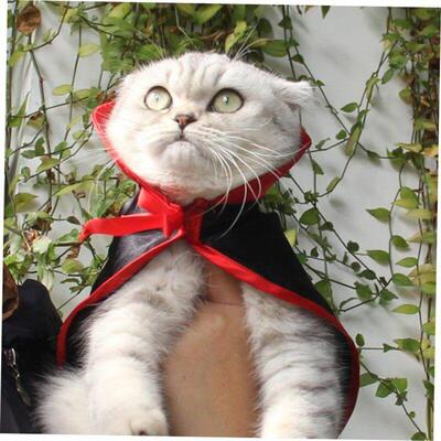 Halloween Costumes Shawl Parrot Warm Pet Cape Dog Cat Small