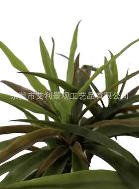 仿真室绿盆栽龙须草客厅001卧装饰小型植饰物装饰品摆件植植物品