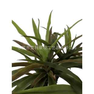仿真室绿盆栽龙须草客厅001卧装饰小型植饰物装饰品摆件植植物品