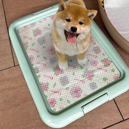 狗厕小型犬幼犬不湿脚防踩狗厕大中型犬平厕盆便盆