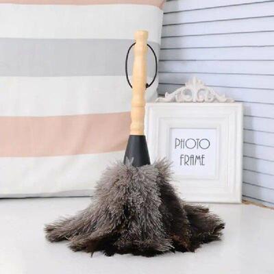 L4MB Handheld Natural Ostrich Duster with Wooden Handle for