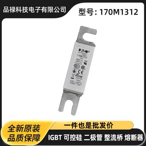 快速熔断器 保险丝作用170M1312 170M1313货源充足高压熔断器