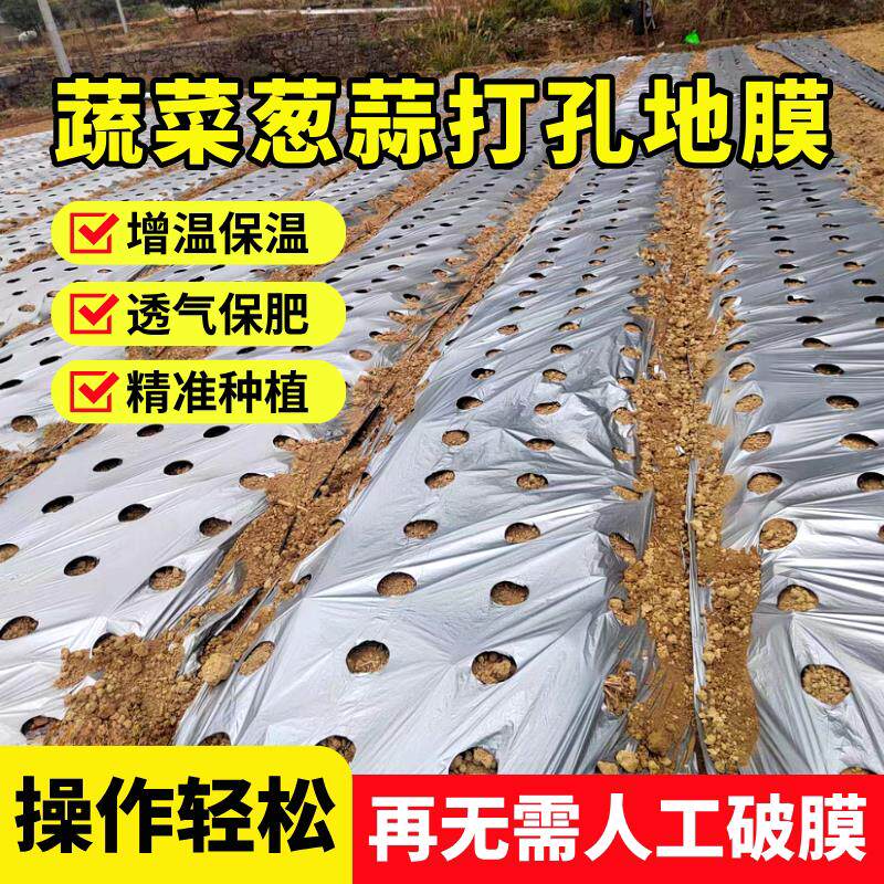 农用银黑色打孔地膜塑料薄膜加厚保温防虫抗老化蔬菜种植反光膜