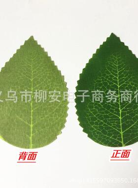 仿真丝印叶子 绿色仿真假树叶片 丝网花配饰 花朵配饰材料用品