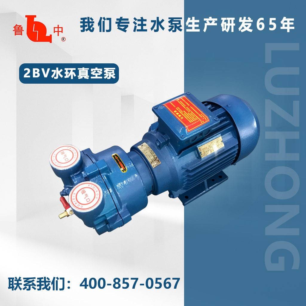 20MAGA-102BV-2060真系列油（液）环式4空泵质保一年0售后保障鲁