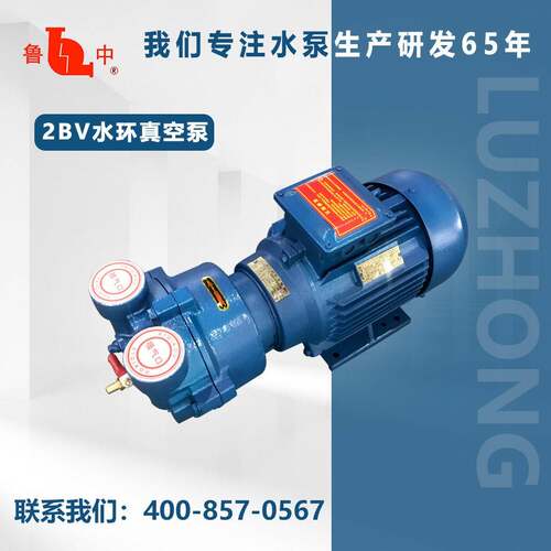 20MAGA-102BV-2060真系列油（液）环式4空泵质保一年0售后保障鲁