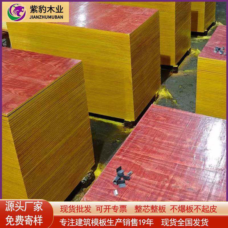 建筑模板红色模板多层板不爆板不起皮建筑胶合板厂家整车全国发货