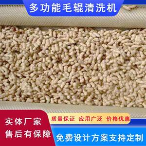诚霖不锈钢洗花生机器酒鬼花生加工前期清洗设备云南花生清洗机