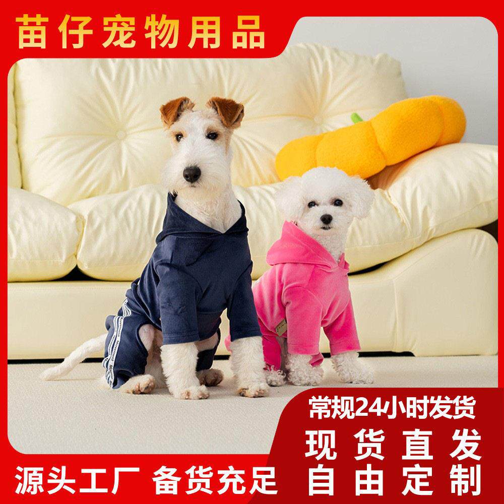 宠物衣服春款金丝绒四脚狗狗卫衣运动户外泰迪比熊小型犬宠物衣服