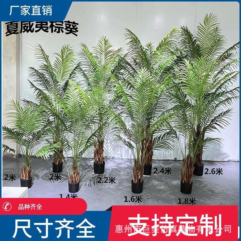 仿真夏威夷葵橱窗装饰造景散尾葵仿真凤尾葵贵妃葵厂家