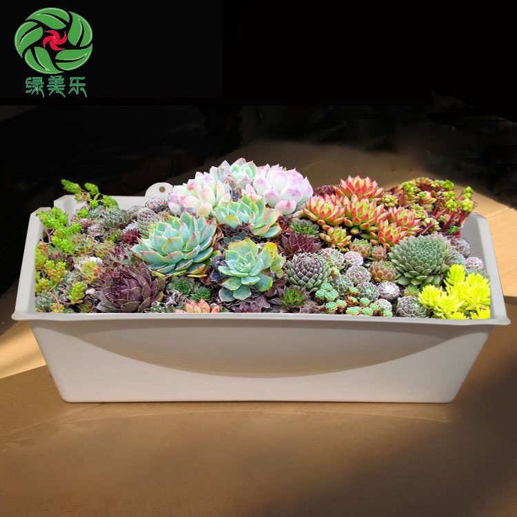 垂直绿化墙花盆阳台客厅植物墙工程壁挂式立体种植盒