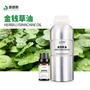 过路黄油植物单方按摩化妆日化原料供应 厂家直供金钱草油现货