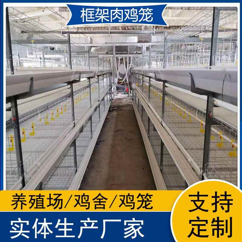 自动化框架肉鸡笼养鸡设备鸡舍改造大中小型养鸡厂鸡笼