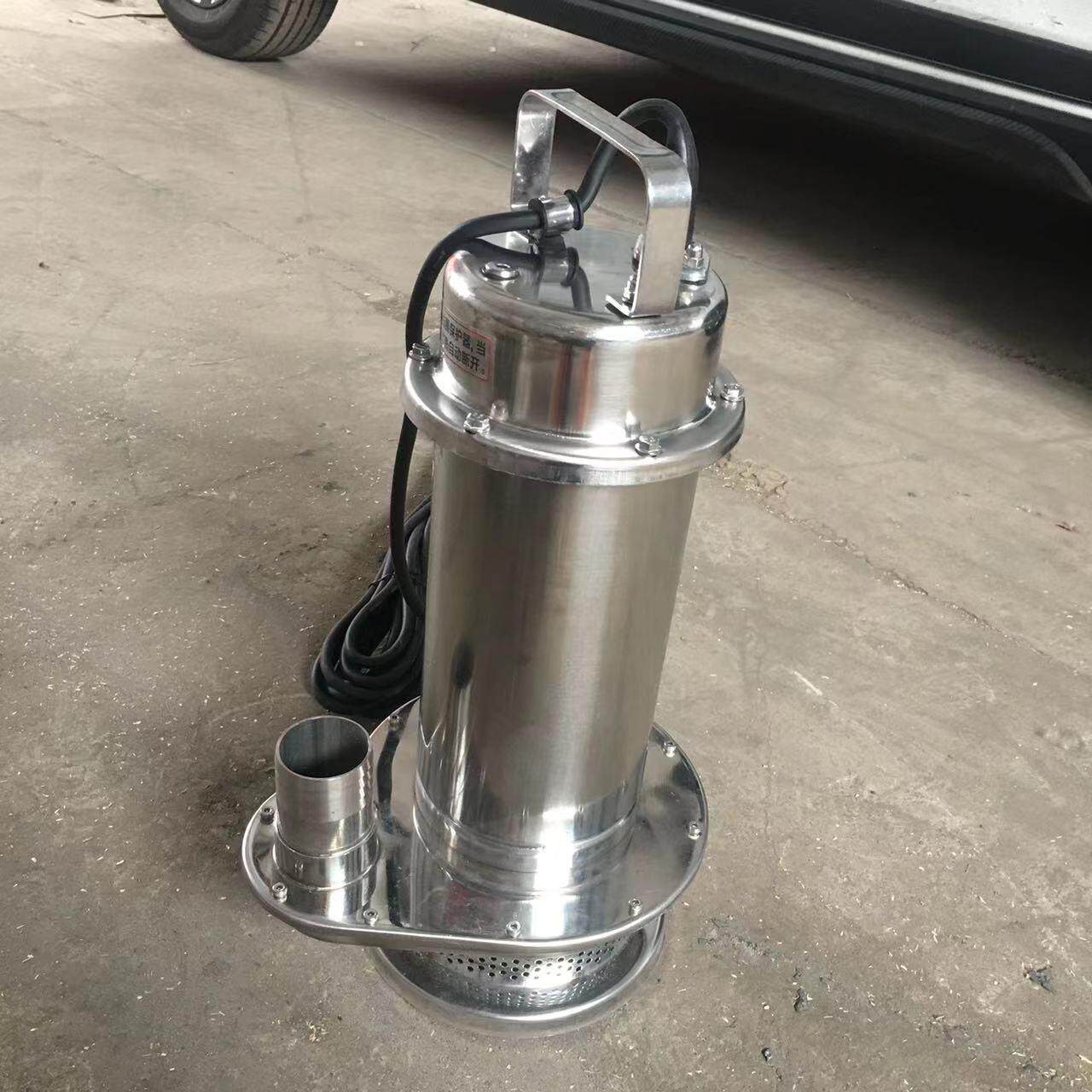 小型自吸式水泵 鲁强牌抽水泵自吸泵柴油电动抽水泵不锈钢