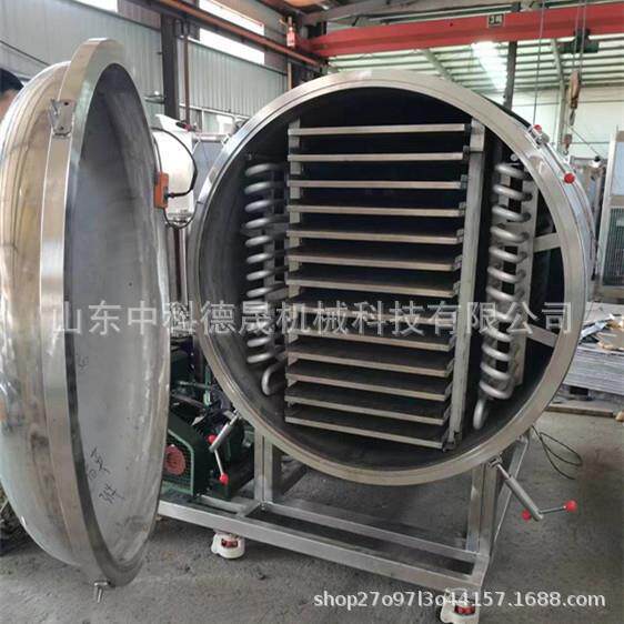 zkds真空制冷冻干机 水产品低温冷冻脱水设备 草莓果蔬冻干机