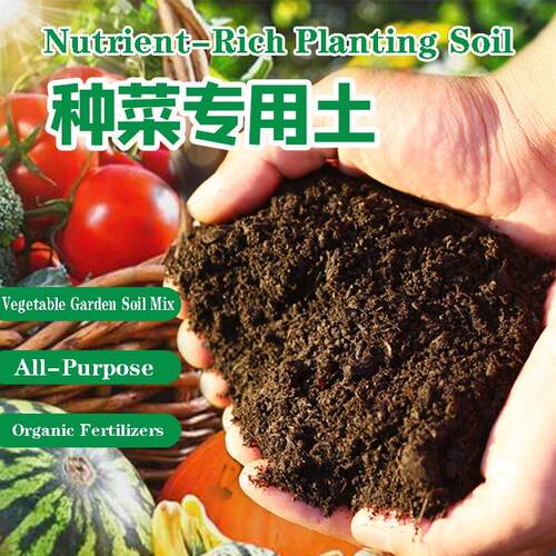 Succulent & Cacti Gritty Soil Mix Fast-Draining Potting Soil