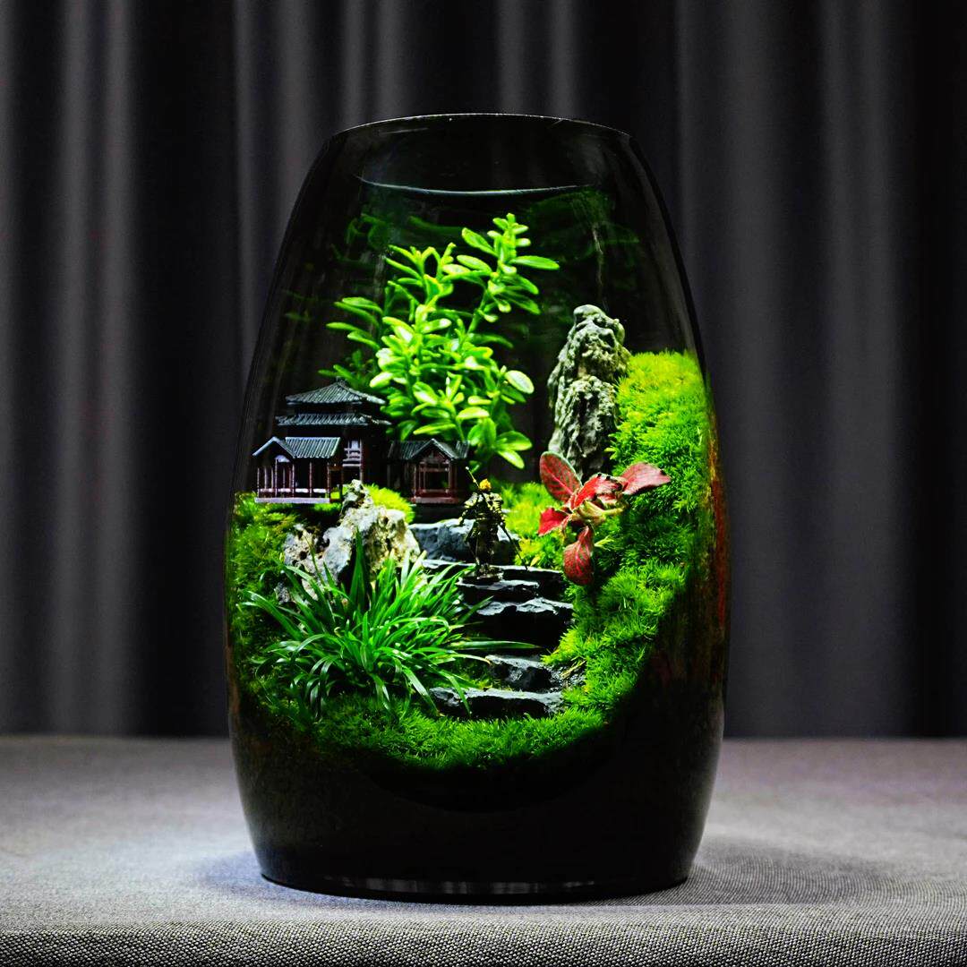 黑神话悟空苔藓微景观创意桌面生态瓶摆件造景办公室流水养鱼缸