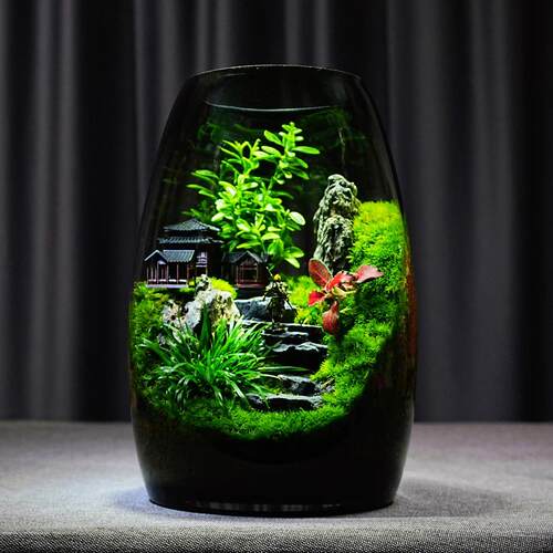 黑神话悟空苔藓微景观创意桌面生态瓶摆件造景办公室流水养鱼缸