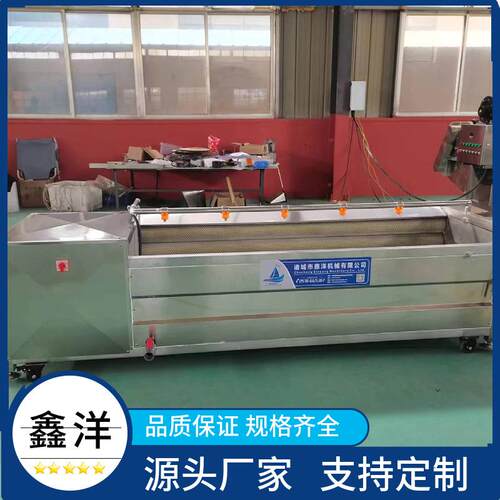 毛辊清洗机 甘蔗去泥沙去灰尘清洗设备 硬毛刷百香果去皮机