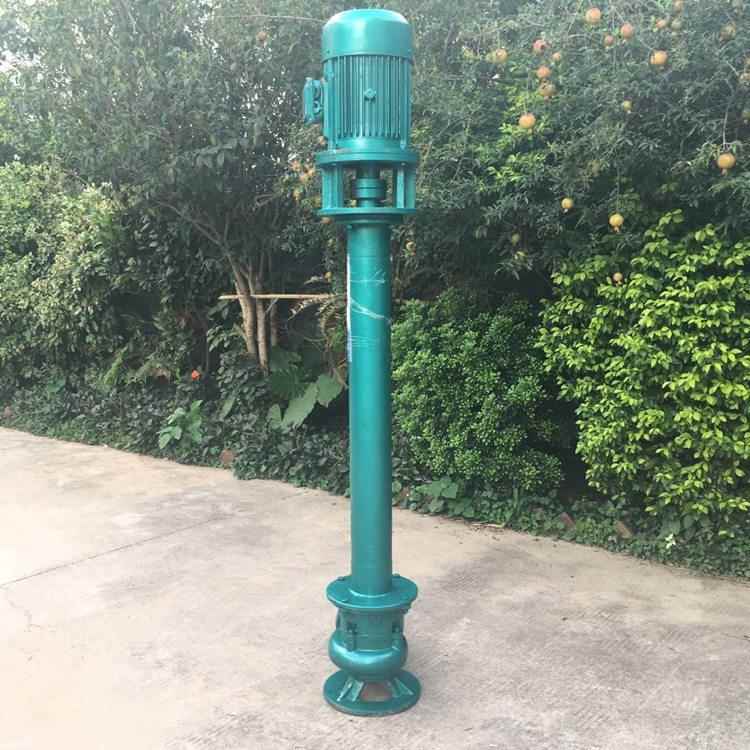 1管50YW1w45-9-.5k液下5米单管长轴泵7ZNY电厂矿山污水处理道增压