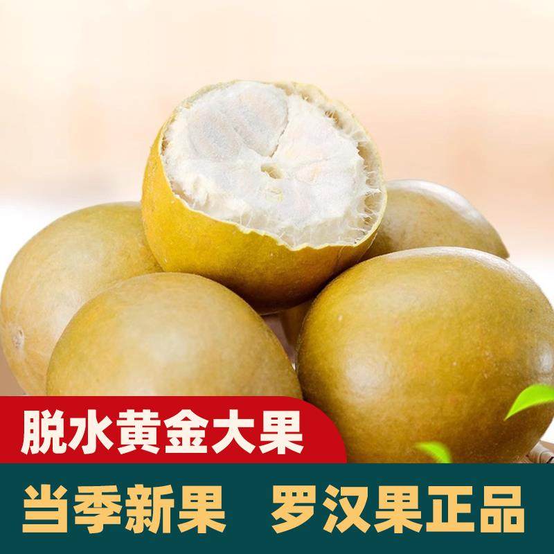 黄金罗汉果大果干果广西桂林永福特产小包装低温脱水罗汉果茶泡水