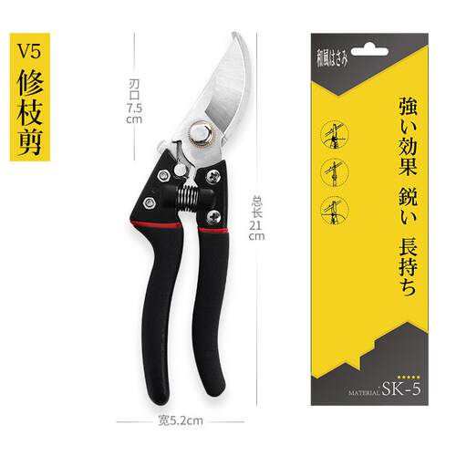 强力果树枝剪刀修枝剪刀粗枝剪树剪子剪刀剪枝花卉绿化园艺剪刀