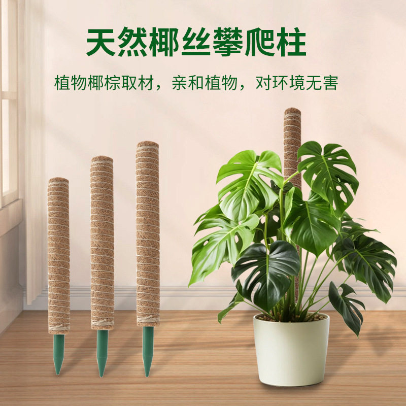 龟背支撑攀爬椰棕其它园艺用品