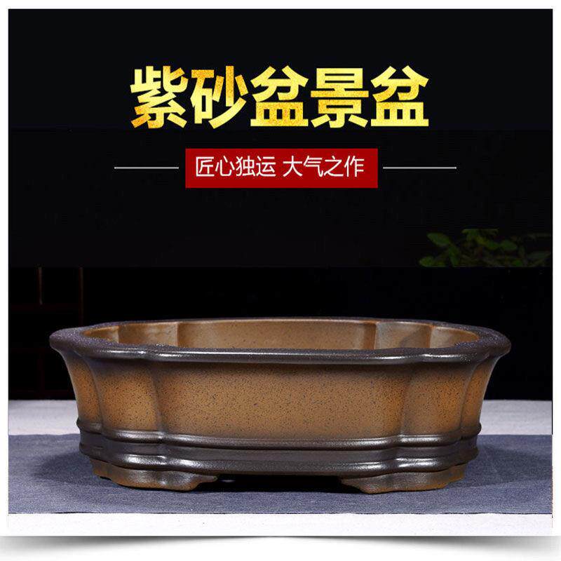宜兴紫砂盆景盆特大海棠盆长方形椭圆形盆栽花盆阳台庭院盆景盆