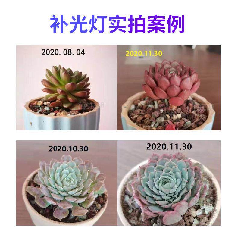 植物补光灯飞碟款全光谱50W多肉盆栽植物生长灯蔬果植物灯