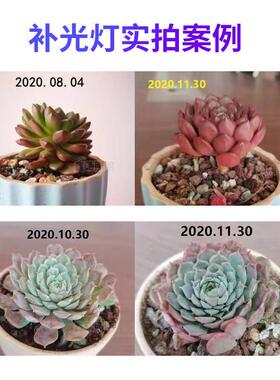 全光谱led补灯太卉阳灯0W飞碟多肉5上色草XIK莓花植物灯生长光灯