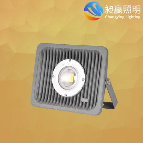 led防爆隧道灯50W100W200w工地照明投光灯220V市电投光灯泛光灯