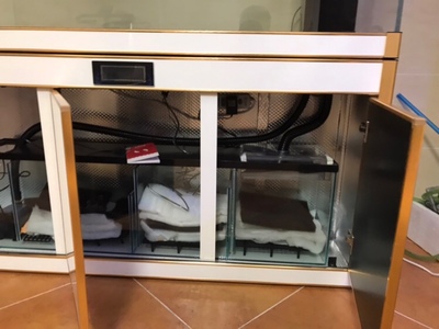 实际交流汉霸鱼缸怎么样，用后一年口碑反馈！