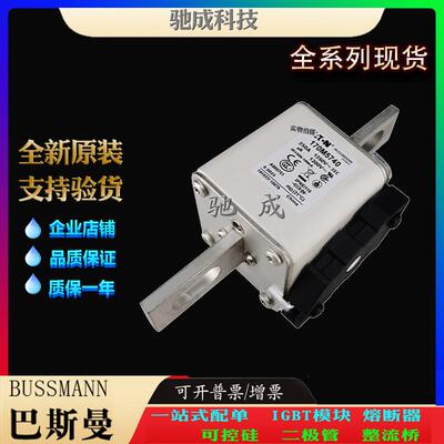巴斯曼170M5739 170M5740 170M5741 经销优价供应 低压保险丝
